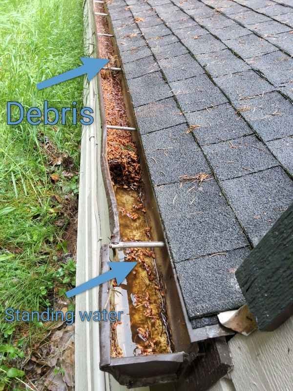 Gutter debris and roof drainage obstruction documented during inspection