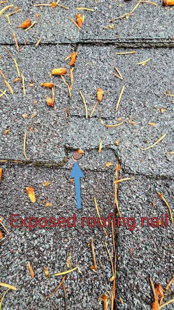 Older asphalt roof covering condition documented during inspection