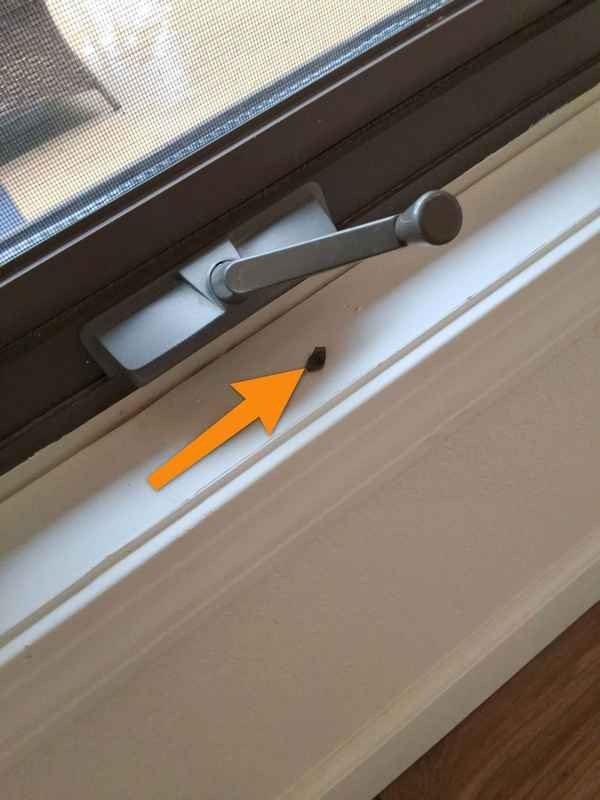 Window hardware operation finding documented during inspection