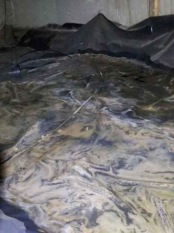 Saturated and displaced crawlspace vapor barrier surrounded by standing water