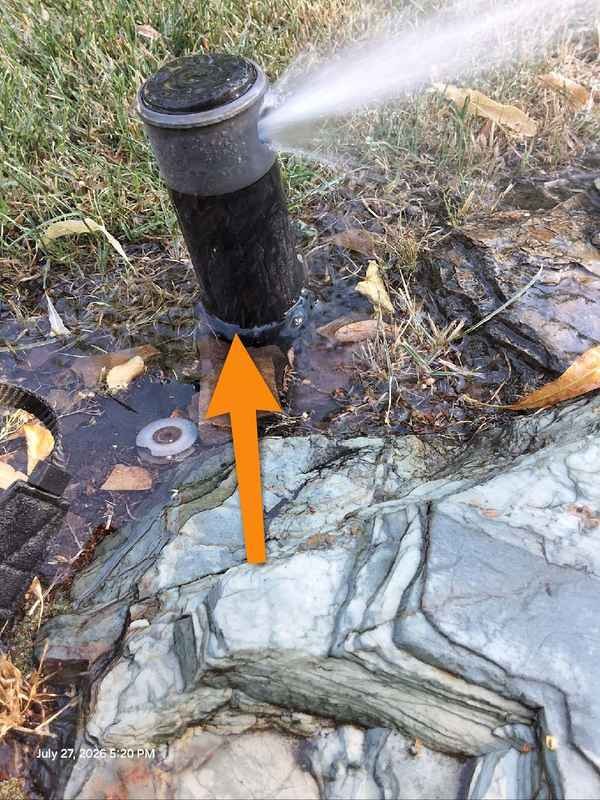 Water bubbling near a sprinkler head indicating a suspected underground irrigation leak